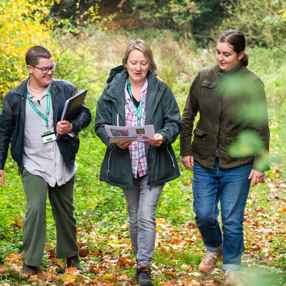 Three Wildlife and Conservation students are walking side-by-side in a forest.