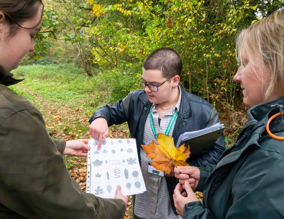 Three Wildlife and Conservation students are in a forest, gathered around a leaf-identifying booklet. One student holds the booklet, one a leaf, and another points to the booklet.