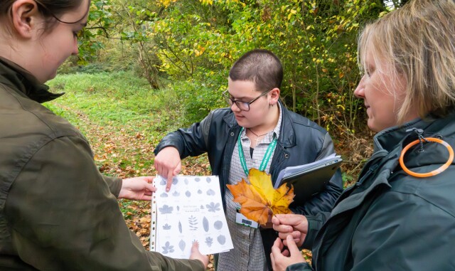 Three Wildlife and Conservation students are in a forest, gathered around a leaf-identifying booklet. One student holds the booklet, one a leaf, and another points to the booklet.