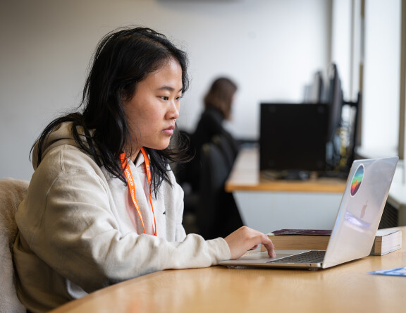 A student sat at a desk, working at their laptop.