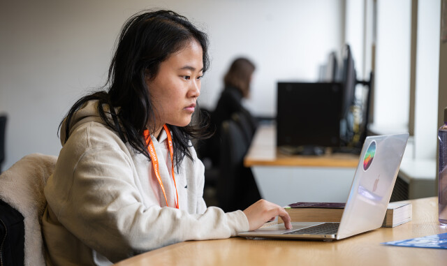 A student sat at a desk, working at their laptop.